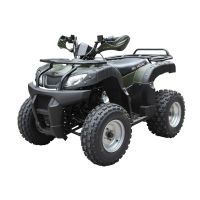 Лот: 25659271. Фото: 2. Квадроцикл ATV Beorn 200. Мототехника