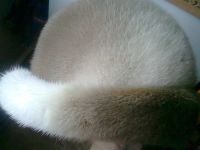 Лот: 3410564. Фото: 6. Шапка из норки. Мягкая.