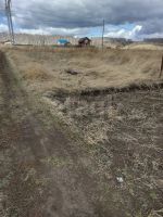 Лот: 20184477. Фото: 4. участок , деревня Замятино деревня... Красноярск