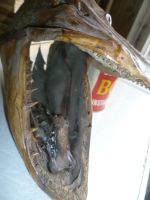 Лот: 6330382. Фото: 2. Голова щуки. Красноярск