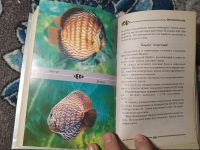 Лот: 25115170. Фото: 5. Рублев Аквариумные рыбки Домашний...