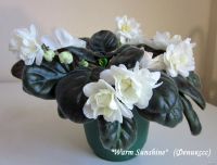 Лот: 13566485. Фото: 5. "Warm Sunshine (Вом Саншайн...