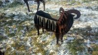 Лот: 10637106. Фото: 8. МаНгАлЫ в виде животныХ