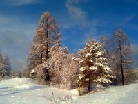 Лот: 2209512. Фото: 7. земля ижс п.кедровый