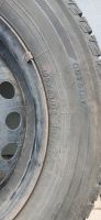 Лот: 25744537. Фото: 4. Шины Yokohama ice guard ig50 plus. Красноярск