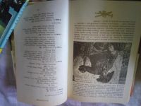 Лот: 19107993. Фото: 4. Женщина в жизни великих и знаменитых...