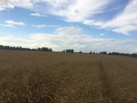 Лот: 6009903. Фото: 4. Пай (10 гектар). Красноярск