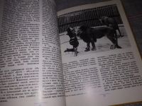 Лот: 6578498. Фото: 21. На арене и вокруг нее, Ирина Бугримова...
