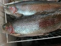 Лот: 5491572. Фото: 2. Оптово-розничный магазин северной... Продукты