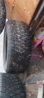 Лот: 24895635. Фото: 4. Bridgestone Blizzak DM-V2 255... Красноярск