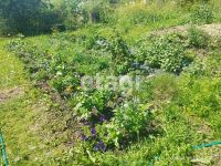 Лот: 25290036. Фото: 14. 1-комн. дача , СНТ Вишенка СНТ...