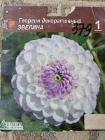 Лот: 25256540. Фото: 7. Георгин клубни сортовые