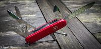 Лот: 7804701. Фото: 6. Швейцарский нож Victorinox Evolution...