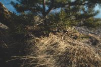 Лот: 5338177. Фото: 3. Canon TS-e 24mm f3.5 (tilt-shift... Красноярск