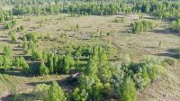 Лот: 16859979. Фото: 7. Васильково-рапсовый мёд,разнотравье...