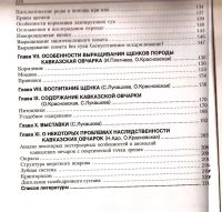 Лот: 13700409. Фото: 4. Красновская О., Пшеничникова Н... Красноярск