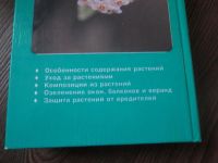 Лот: 9508564. Фото: 5. Комнатноe цвeтоводство...
