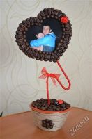 Лот: 2493683. Фото: 4. Кофейные деревья. Уникалый подарок...