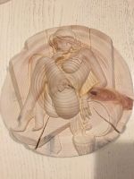 Лот: 20421838. Фото: 5. Табличка для бани и сауны