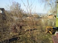 Лот: 5383263. Фото: 2. Продается дача, гора медпрепаратов. Продажа