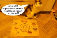 Лот: 4842949. Фото: 3. Отличный коврик под миску для...