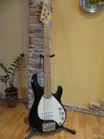 Лот: 8253315. Фото: 3. Ernie Ball Music Man StingRay... Музыкальные инструменты и оборудование