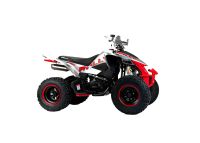 Лот: 25734281. Фото: 5. Квадроцикл MOTOLAND RALLY 250