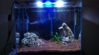 Лот: 11473671. Фото: 3. Аквариумный Светильник AquaSyncro... Растения и животные