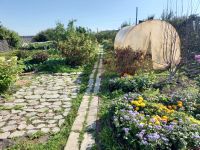 Лот: 16643239. Фото: 2. Дача д. Новоникольск. Продажа