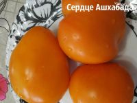 Лот: 15398209. Фото: 2. семена томата Сердце Ашхабада. Семена, рассада, садовые растения