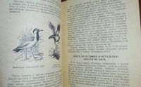 Лот: 24890275. Фото: 6. Охота на болотную и луговую дичь...