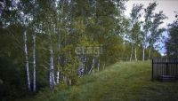 Лот: 25293113. Фото: 15. 2-комн. дача , садоводческое некоммерческое...