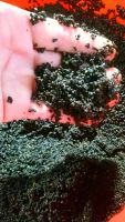 Лот: 15606558. Фото: 3. Грунт shirakura red bee sand. Растения и животные