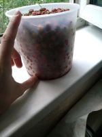 Лот: 14129845. Фото: 2. Земляника лесная свежая. Больше... Продукты