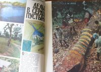 Лот: 19254377. Фото: 3. Журнал "Вокруг света" № 12, 1987... Литература, книги