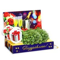 Лот: 8460951. Фото: 3. Подарочный набор для выращивания. Сувениры, подарки