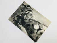 Лот: 23296601. Фото: 2. Собаки: Московский длинношерстный... Открытки, билеты и др.