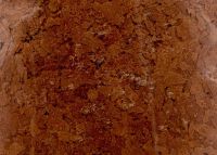 Лот: 16207263. Фото: 2. Artemia Flakes хлопья из артемии... Аквариумистика
