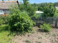 Лот: 25527082. Фото: 8. 3-комн. дача , СНТ Речник СНТ...