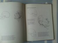 Лот: 15578504. Фото: 5. Техника рисования головы человека...