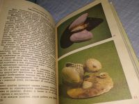 Лот: 18411911. Фото: 8. Гульянц, Э.К.; Базик, И.Я. Что...