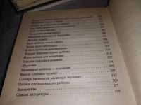 Лот: 18366538. Фото: 3. Авдеева Н. Н., Мещерякова С. Ю... Литература, книги