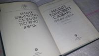 Лот: 8883350. Фото: 2. Владимир Лопатин Русский толковый... Справочная литература