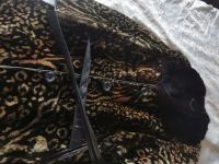 Лот: 3431778. Фото: 4. Шуба мутоновая 52. Красноярск