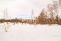 Лот: 25294810. Фото: 11. участок , ДНТ Чёрная Сопка ДНТ...