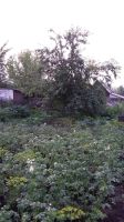 Лот: 11863163. Фото: 6. дача