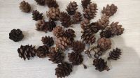 Лот: 25900025. Фото: 2. Шишки маленькие лиственница. Ручная работа