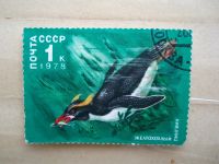 Лот: 21374003. Фото: 2. Ретро Марка: ПОЧТА СССР. Желтохохлый... Коллекционирование, моделизм