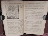 Лот: 18658051. Фото: 2. Хроника 13века о завоевании Константинополя... Общественные и гуманитарные науки