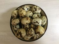 Лот: 10174722. Фото: 3. Яйца перепелиные свежие (г. Железногорск... Красноярск